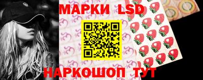 СК Новозыбков