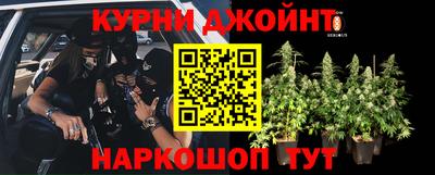 метадон Новодвинск